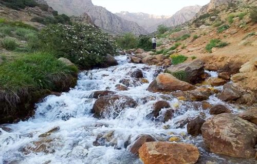 تور یاسوج